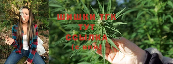 apvp Абаза
