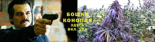 apvp Абаза