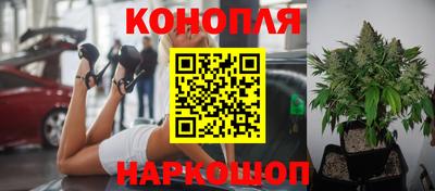 амф Балаково