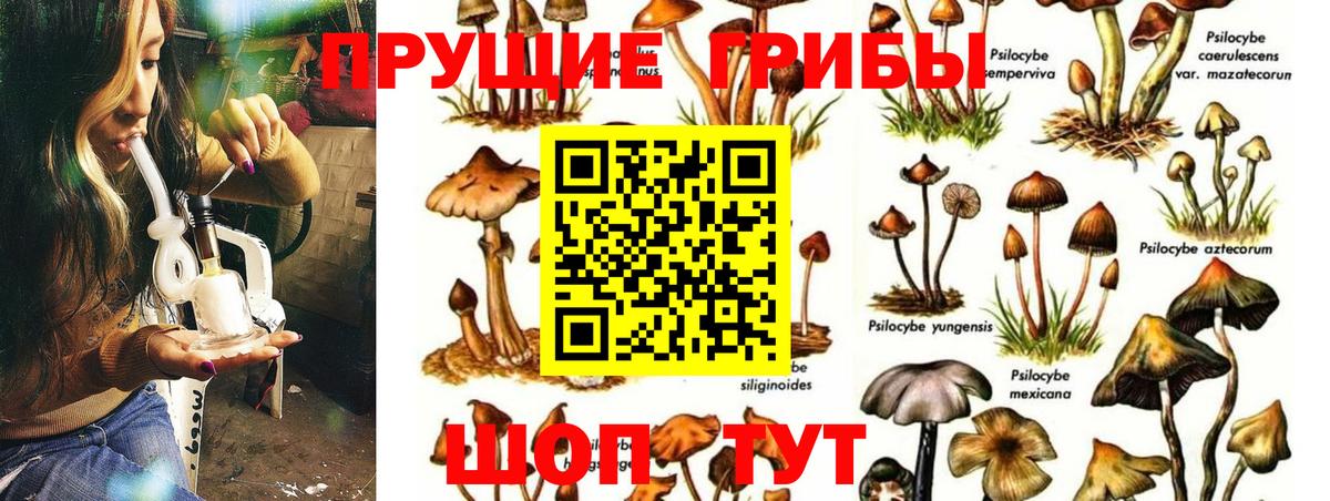 Бошки Шишки  Кокаин  Егорьевск  APVP СОЛЬ   ЭКСТАЗИ  ГАШИШ  МЕФ   Вход с VPN  МЕТАМФЕТАМИН 