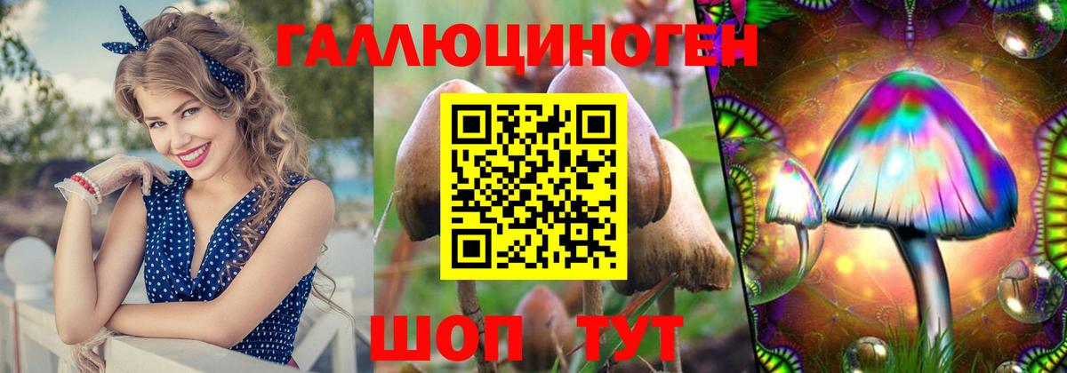Егорьевск  Галлюциногенные грибы GOLDEN TEACHER  Вход с VPN  Галлюциногенные грибы мицелий 