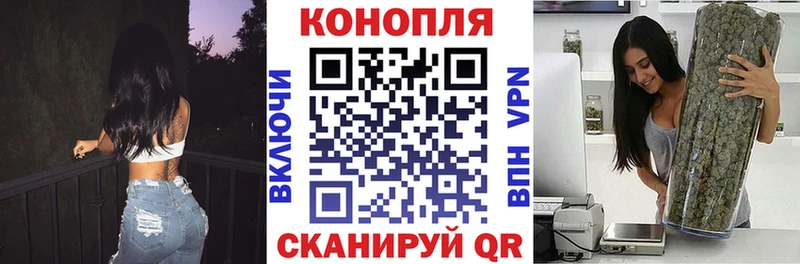Бошки марихуана VHQ  kraken рабочий сайт  Егорьевск 