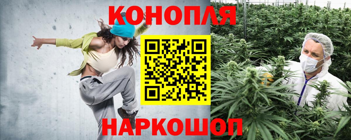 Бошки марихуана SATIVA & INDICA  Конопля Bruce Banner  Конопля план  Вход с VPN  Конопля Ganja  Егорьевск 